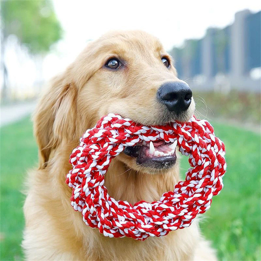 Tug-of-War Rope - Linen Chew Large Dog Toy – Romapets Boutique