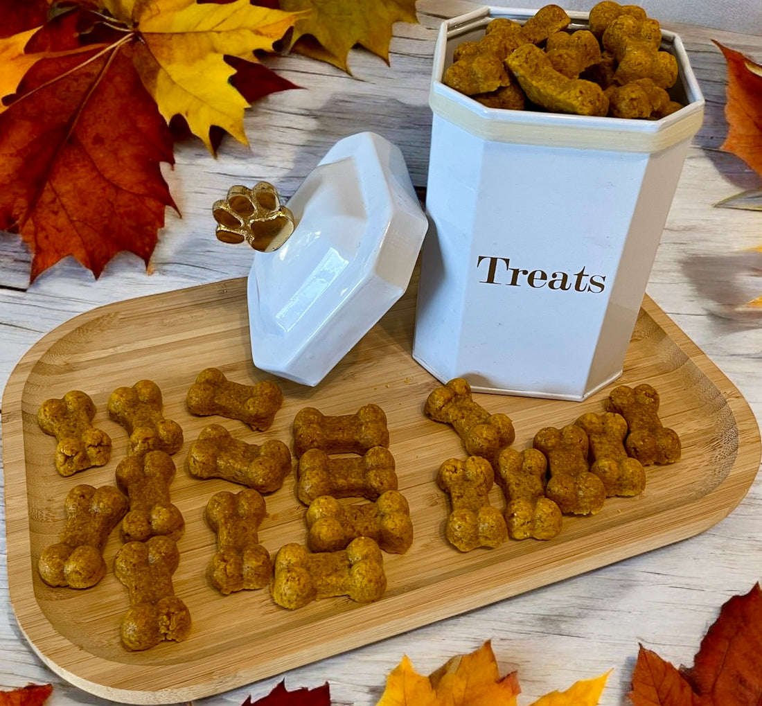 Healthy Dog Treats: A Simple 3-Ingredient Recipe